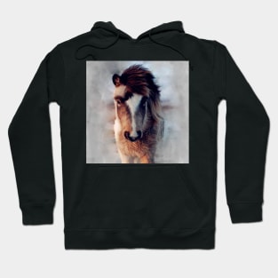 Foal Hoodie